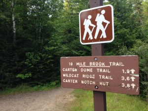 Start of the Nineteen Mile Brook Trail