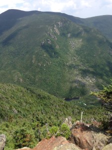 View to Carter Dome from Wildcat A. 